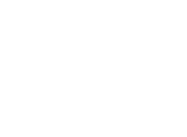 Lex Securities Advisory